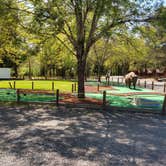 Review photo of Mendocino Redwoods RV Resort by Bill M., May 19, 2022
