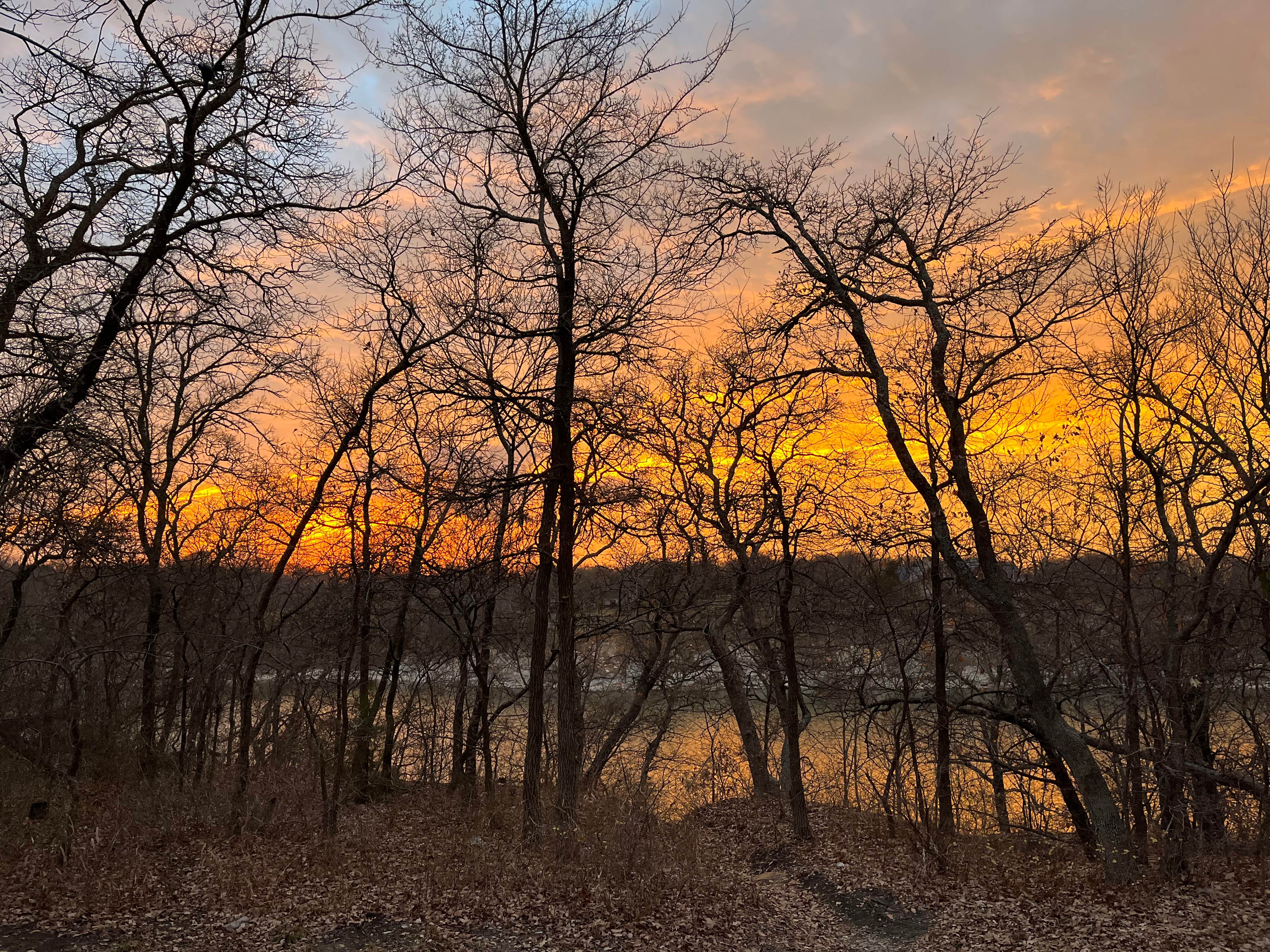 Camper-submitted photo at Burns Run East Campground near Denison, TX