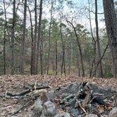 Review photo of Eisenhower State Park Campground by Corey C., May 19, 2022