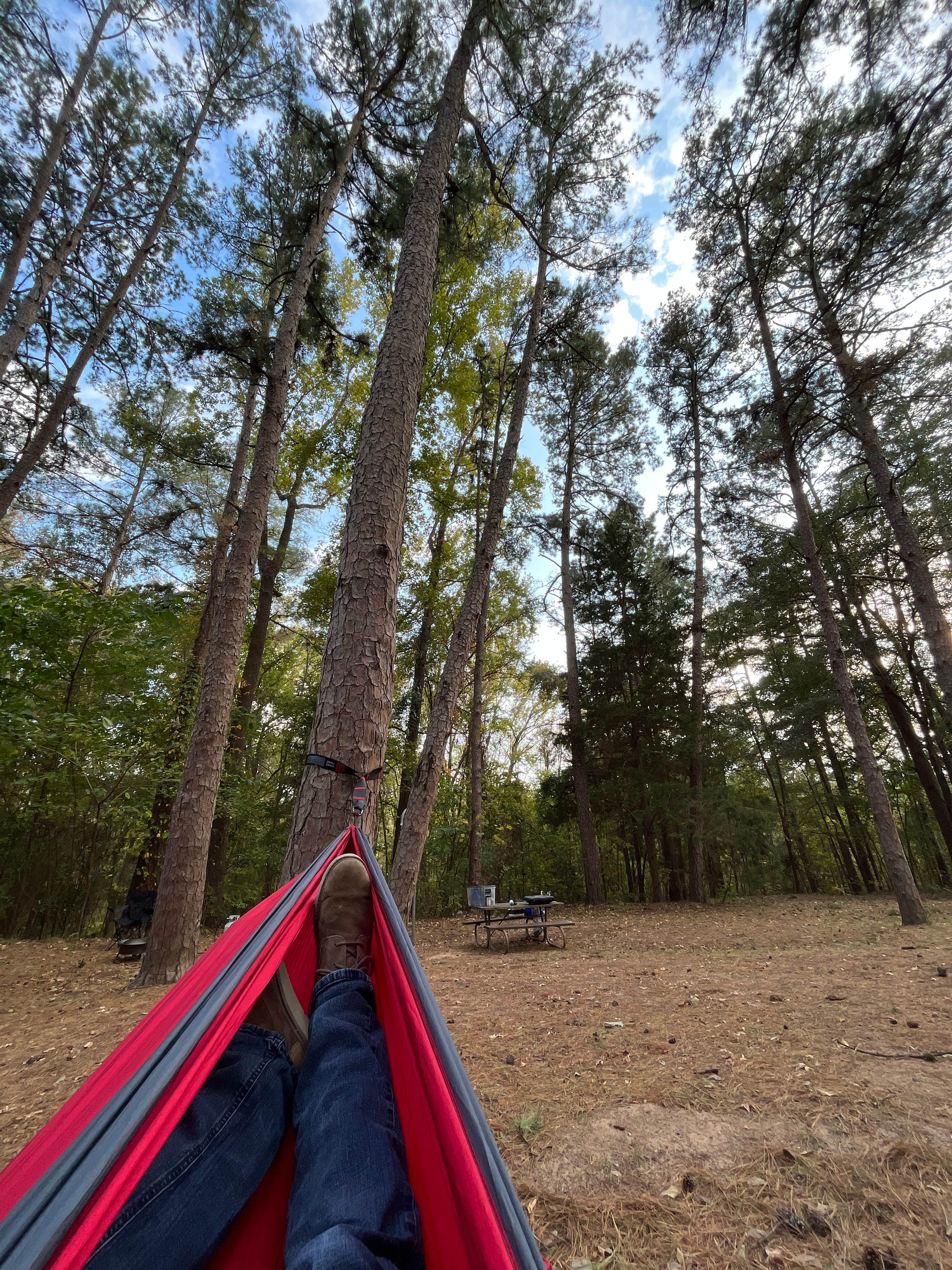 Corey C.'s photo at Tyler State Park Campground near Tyler, TX