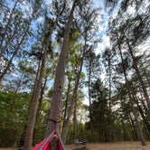 Review photo of Tyler State Park Campground by Corey C., May 19, 2022