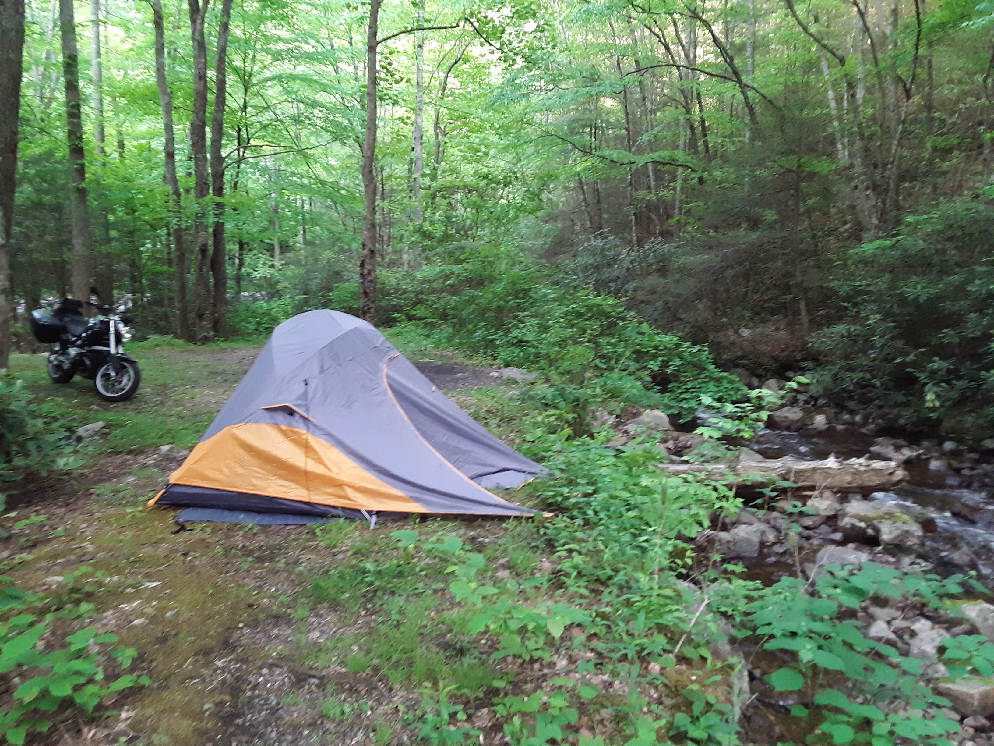 Knedd B.'s photo of a dispersed camping area at Mount Rogers National Recreation Area near Dublin, VA