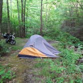 Review photo of Mount Rogers National Recreation Area by Knedd B., May 19, 2022