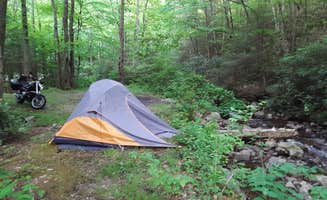 Knedd B.'s photo of a dispersed camping area at Mount Rogers National Recreation Area near Fries, VA