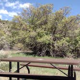 Review photo of Morefield Campground — Mesa Verde National Park by Donna H., May 19, 2022