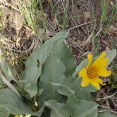 Review photo of Morefield Campground — Mesa Verde National Park by Donna H., May 19, 2022