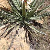 Review photo of Morefield Campground — Mesa Verde National Park by Donna H., May 19, 2022