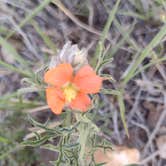 Review photo of Morefield Campground — Mesa Verde National Park by Donna H., May 19, 2022