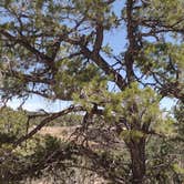 Review photo of Morefield Campground — Mesa Verde National Park by Donna H., May 19, 2022