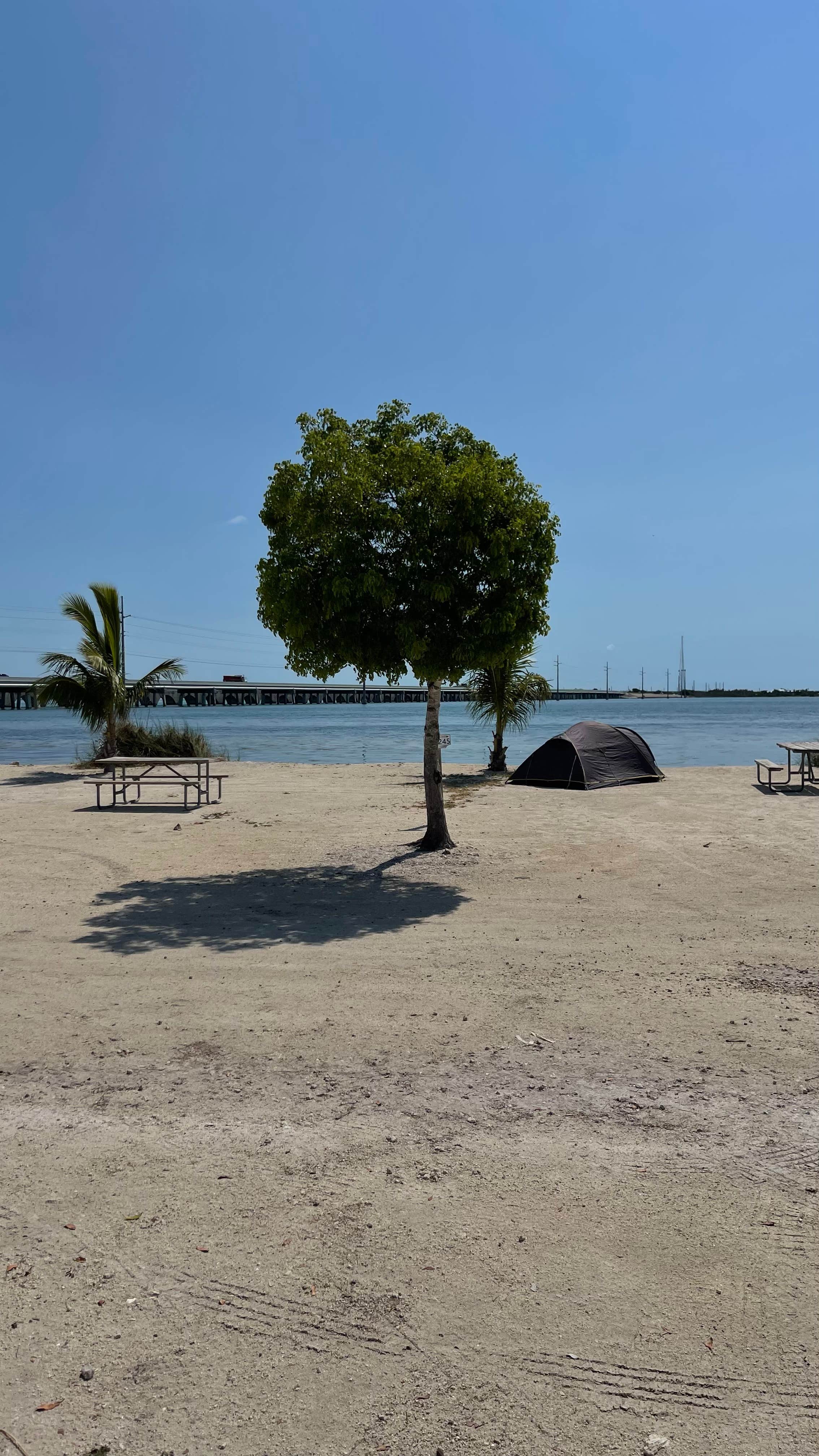 Jiri V.'s photo at Big Pine Key RV Park near Big Pine Key, FL