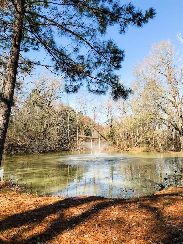 Camper-submitted photo at The Trails at Lavender Road near Flint, TX