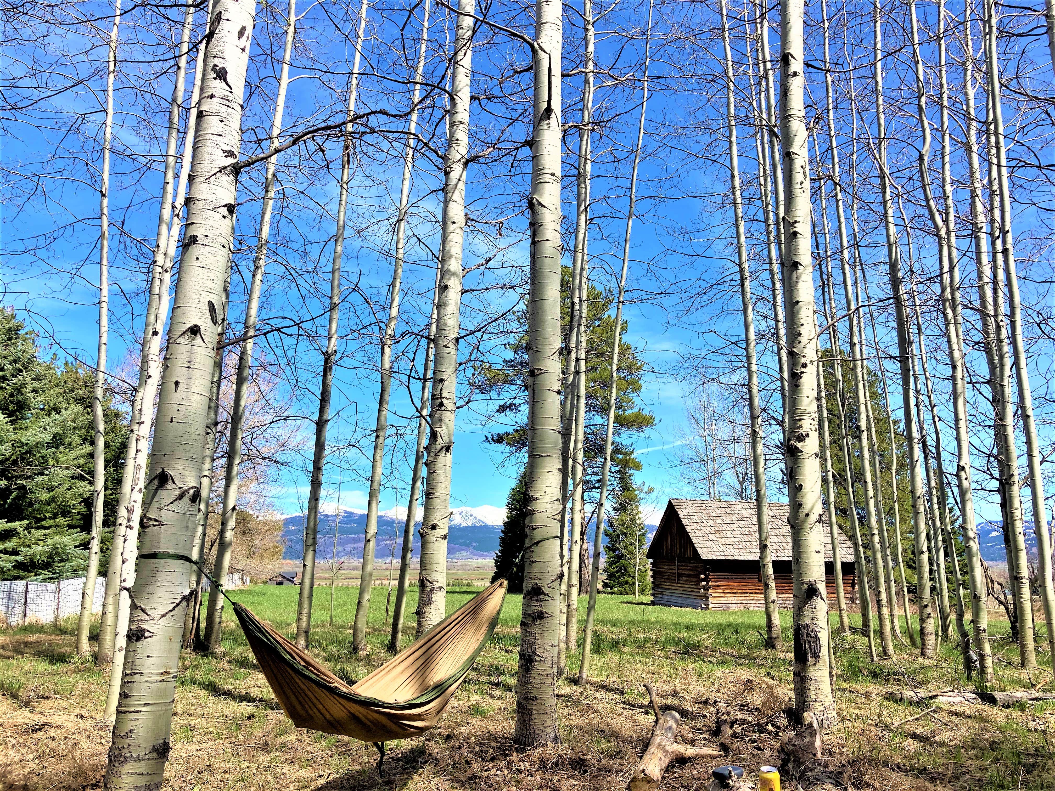 Camper submitted image from Big Hole Mountain Campsite with a view! - 1
