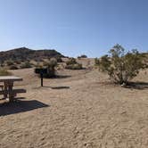 Review photo of Jumbo Rocks Campground — Joshua Tree National Park by liz C., May 19, 2022