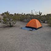 Review photo of Jumbo Rocks Campground — Joshua Tree National Park by liz C., May 19, 2022