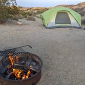 Review photo of Jumbo Rocks Campground — Joshua Tree National Park by liz C., May 19, 2022