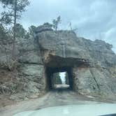 Review photo of Blue Bell Campground — Custer State Park by Tod S., May 5, 2022