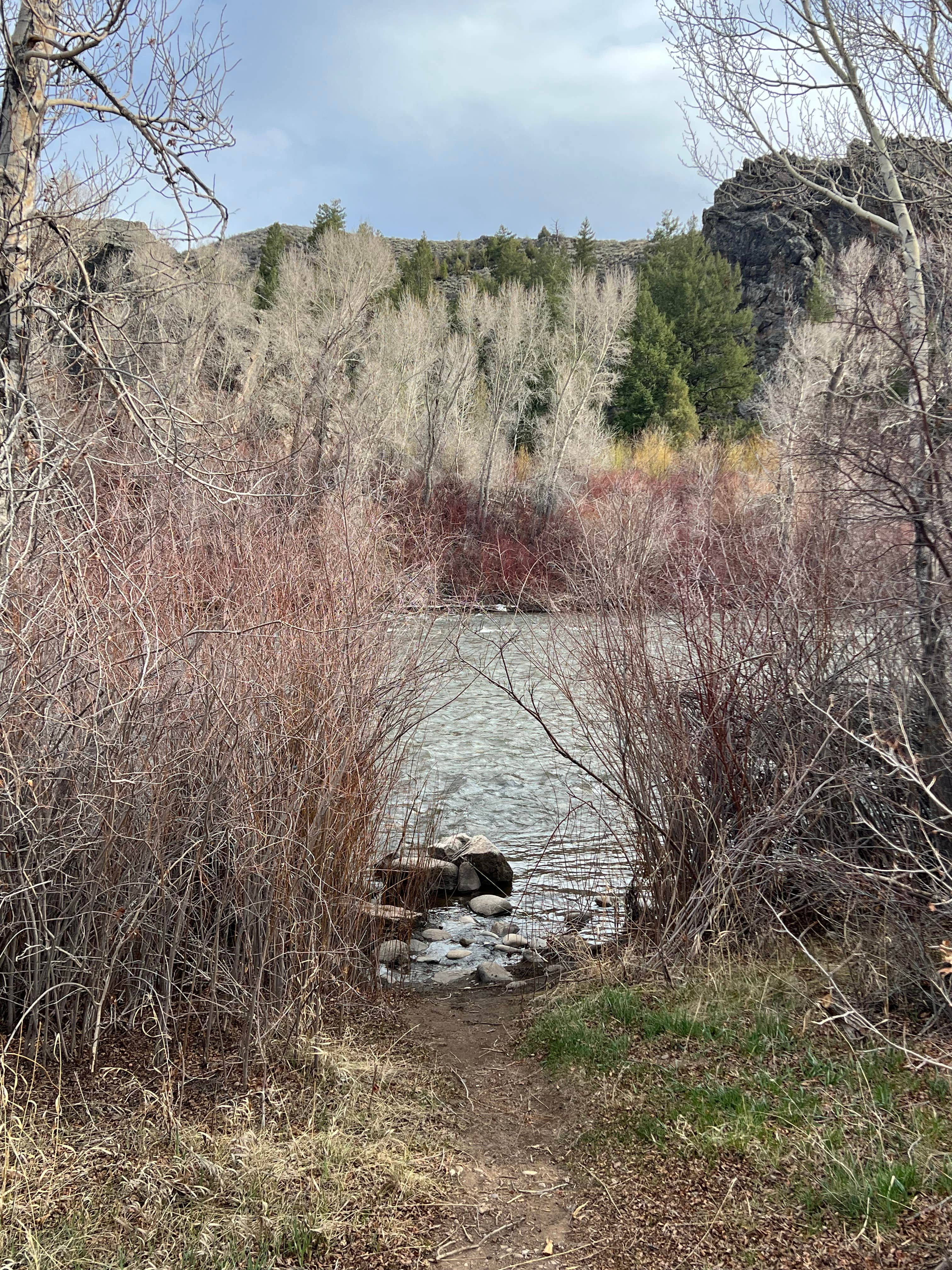 Camper-submitted photo at Almont Campground near Almont, CO