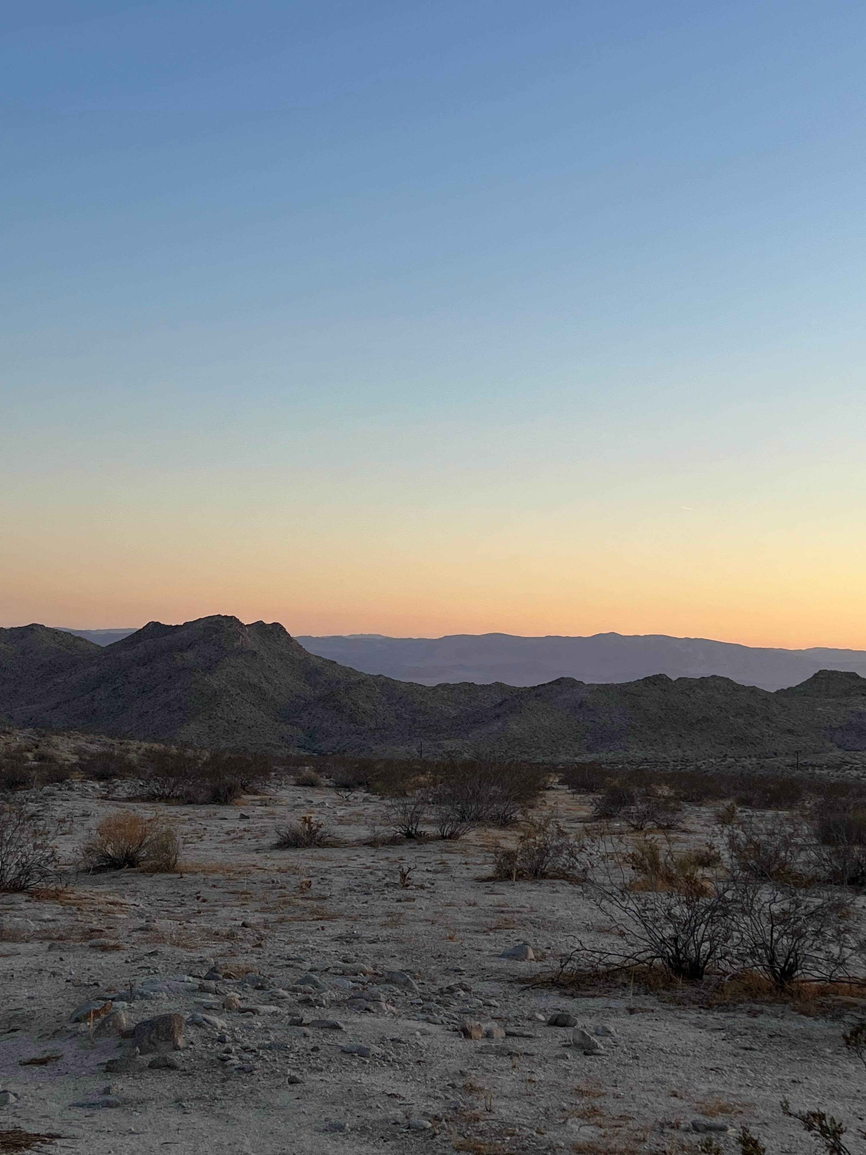Camper-submitted photo at Sheephole Valley Wilderness near Twentynine Palms, CA