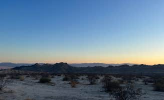 Jack W.'s photo of a dispersed camping area at Sheephole Valley Wilderness near Joshua Tree National Park