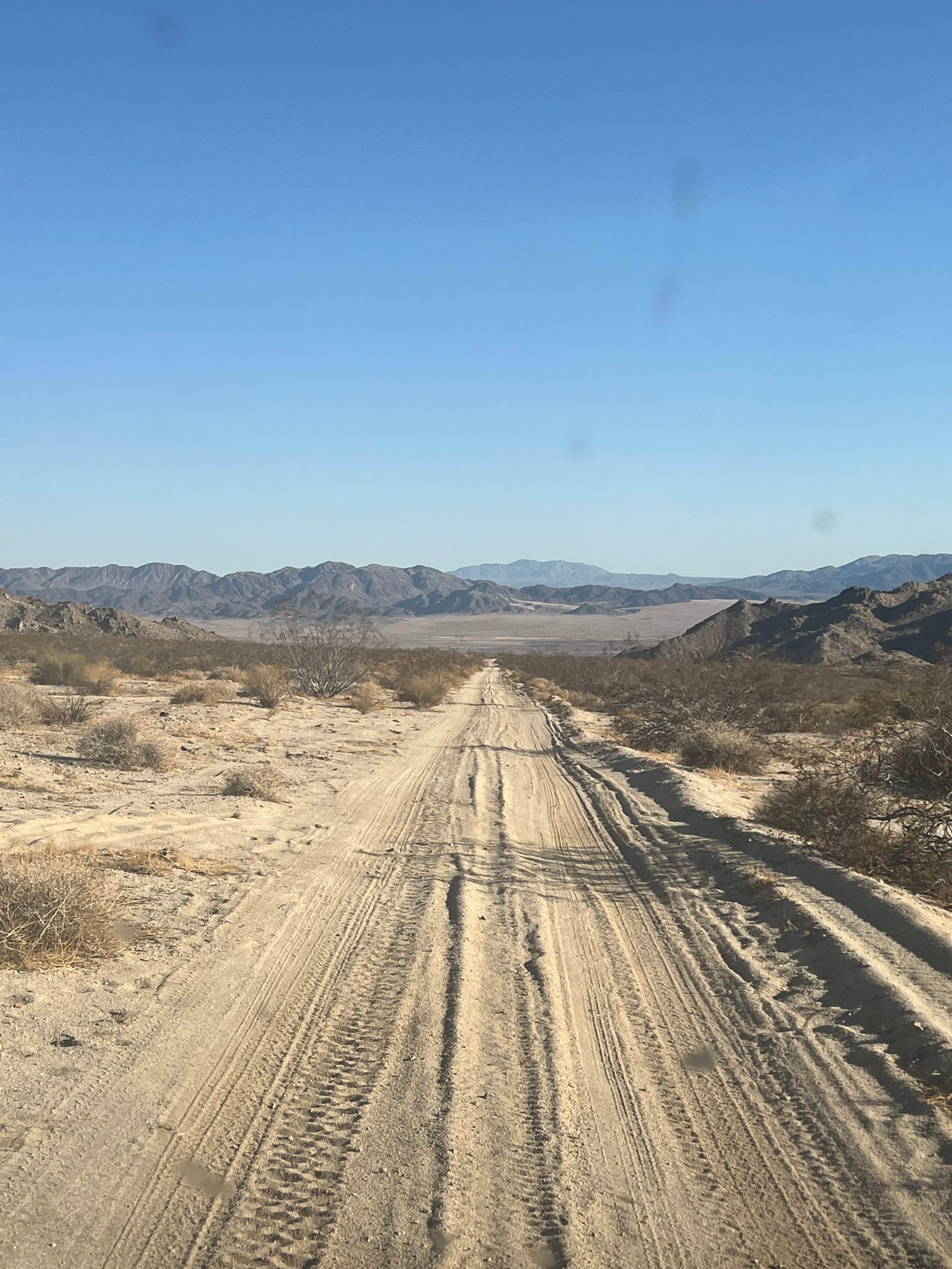 Camper-submitted photo at Sheephole Valley Wilderness near Twentynine Palms, CA