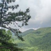 Review photo of Roan Mountain State Park Campground by Gary , May 19, 2022