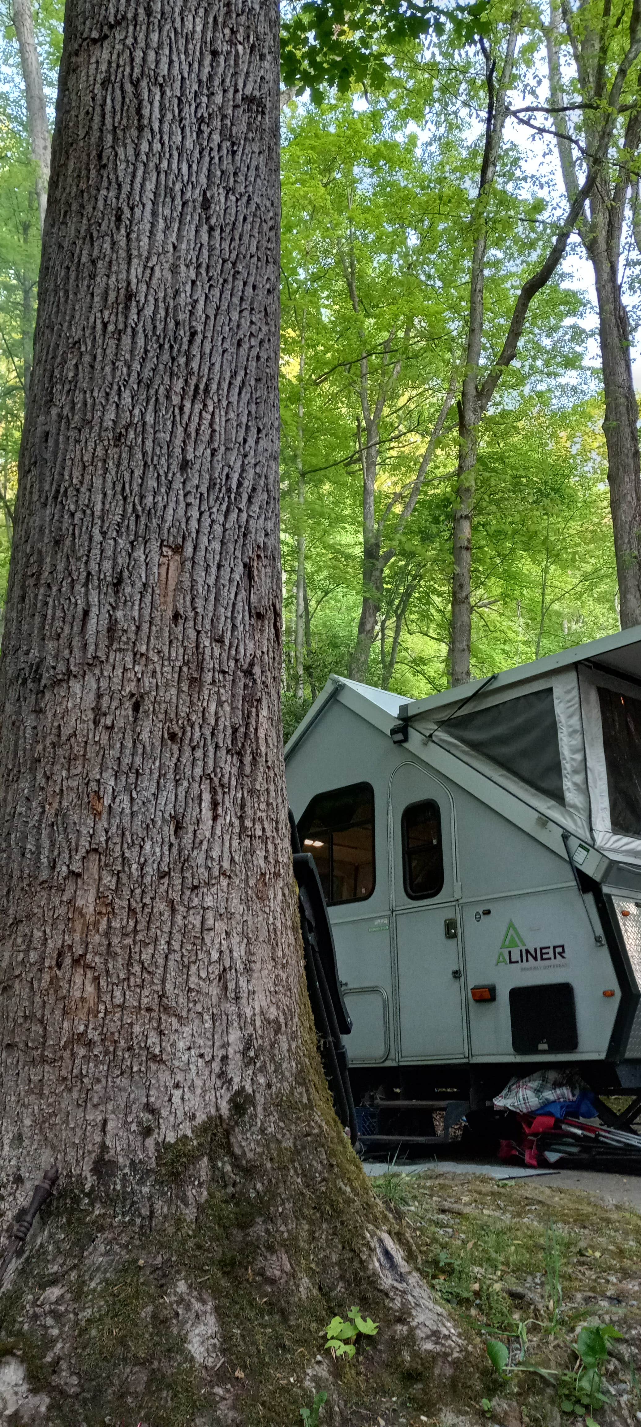 Gary's photo of a cabin at Roan Mountain State Park Campground near Butler, TN