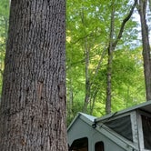 Review photo of Roan Mountain State Park Campground by Gary , May 19, 2022