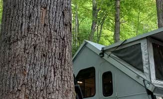 Gary's photo of a cabin at Roan Mountain State Park Campground near Todd, NC