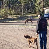 Review photo of Grand Canyon Camper Village by deb K., May 19, 2022