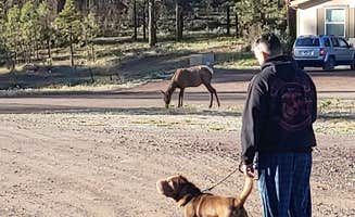 deb K.'s photo of camping with pets at Grand Canyon Camper Village near Grand Canyon National Park
