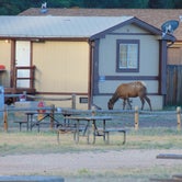 Review photo of Grand Canyon Camper Village by deb K., May 19, 2022
