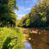 Review photo of Beaverkill Campground by Bianca M., July 14, 2018