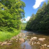 Review photo of Beaverkill Campground by Bianca M., July 14, 2018