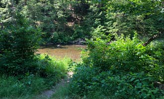 Camping near Little Pond - DEC: Beaverkill Campground, Roscoe, New York