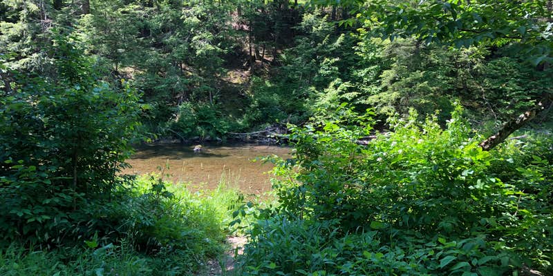 Camper submitted image from Beaverkill Campground