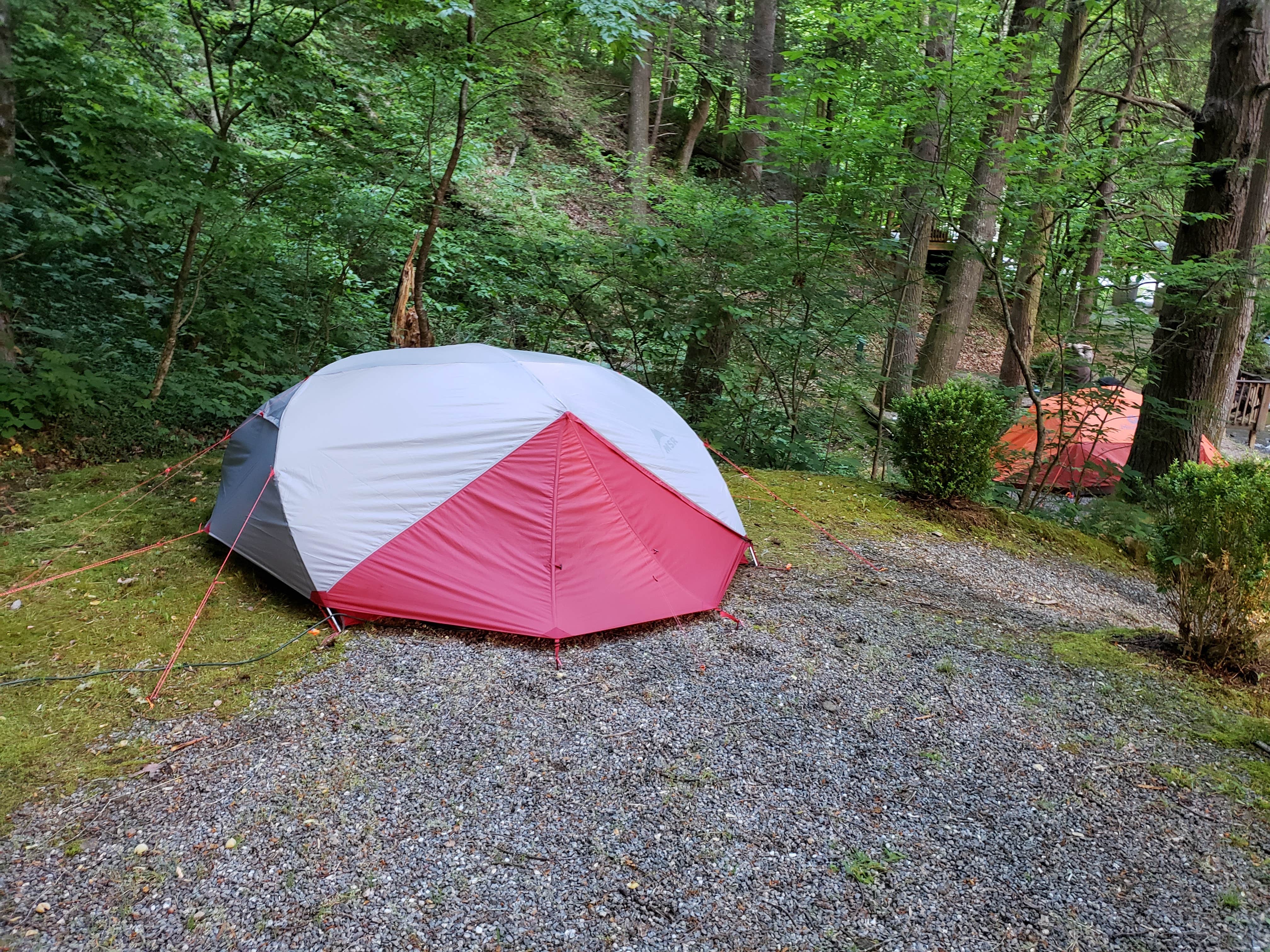 Tommy R.'s photo at Moonshine Creek Campground near Waynesville, NC
