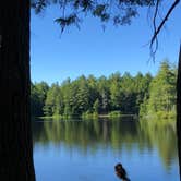 Review photo of Mashamuquet Brook Campground - Mashamuquet Brook State Park by Bianca M., July 14, 2018