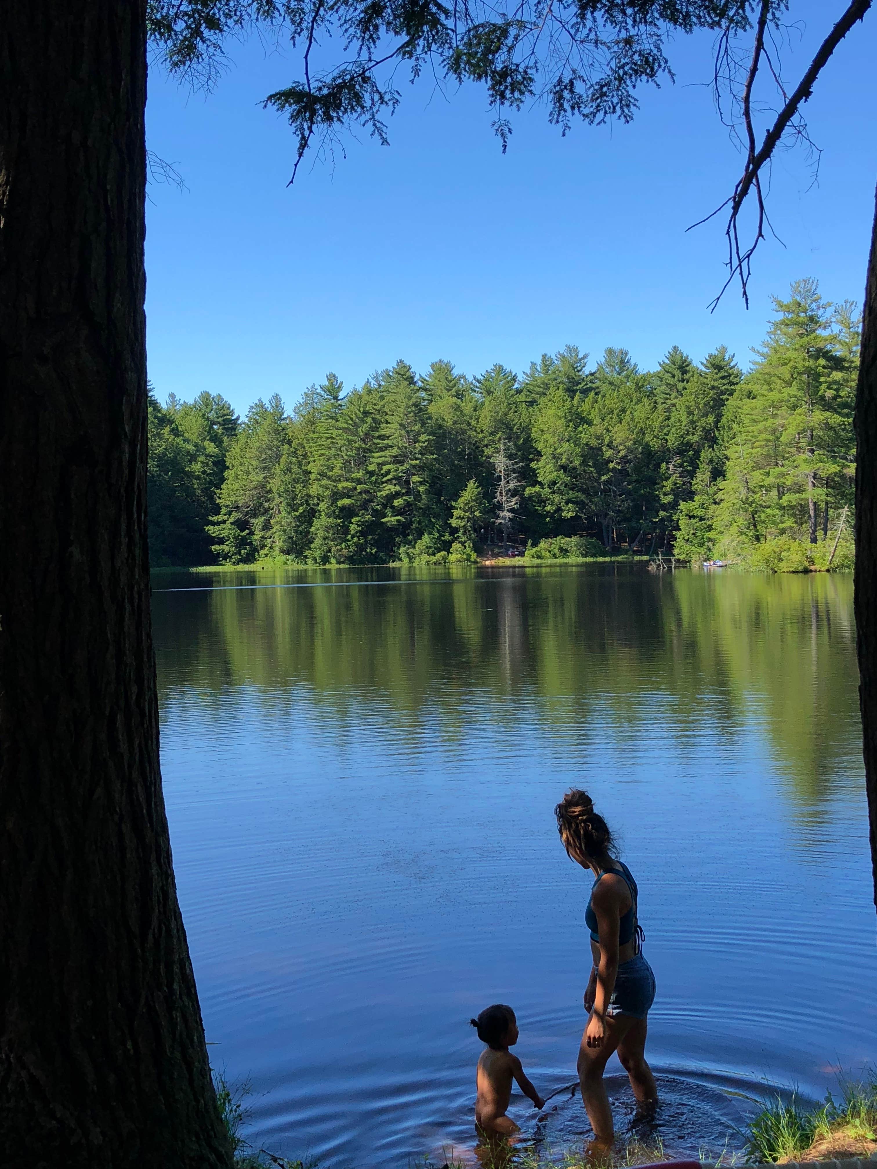 Camper submitted image from Mashamoquet Brook Campground — Mashamoquet Brook State Park - 2