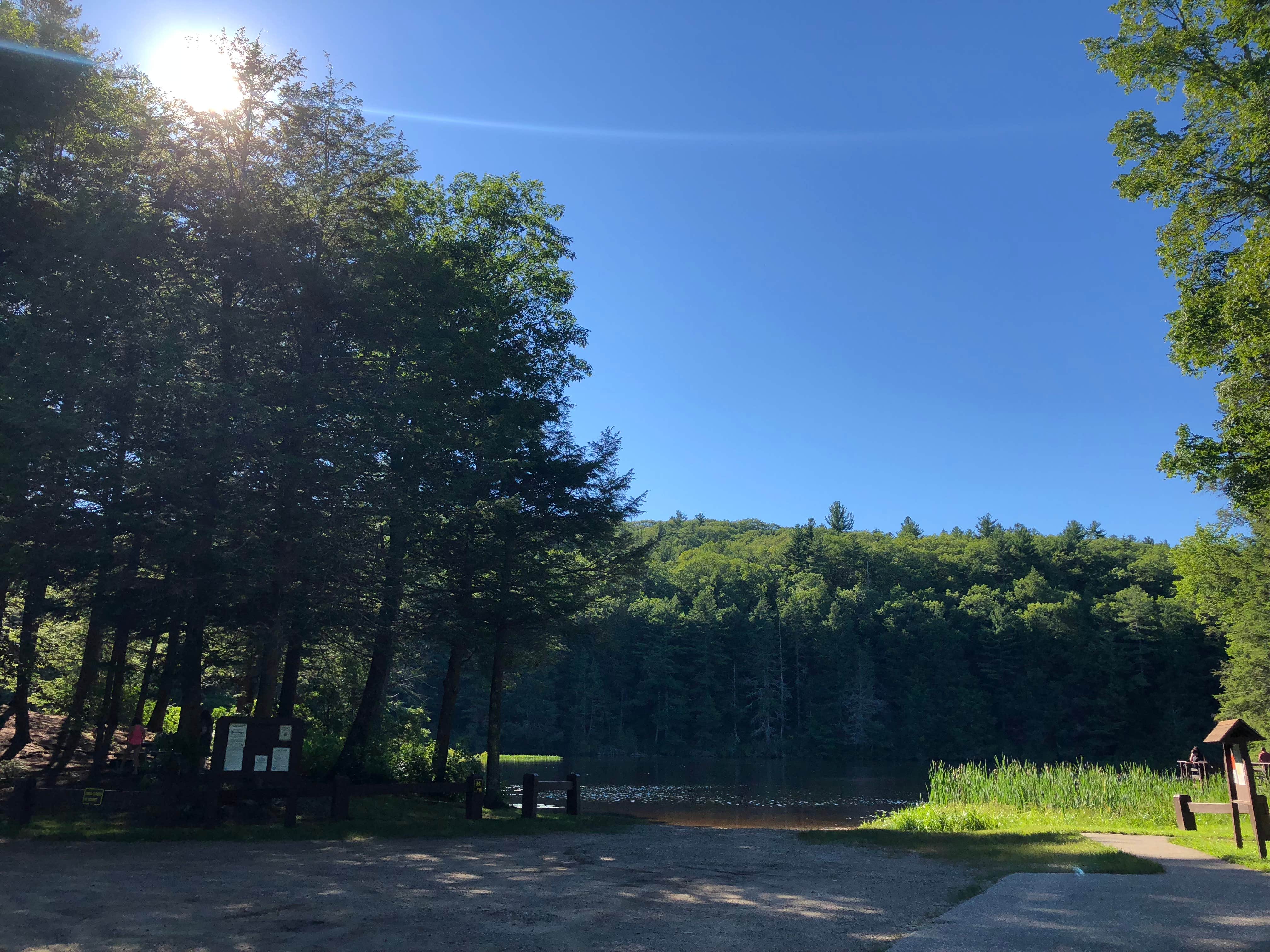 Camper submitted image from Mashamoquet Brook Campground — Mashamoquet Brook State Park - 4