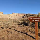 Review photo of Black Dragon Pictograph Panel Dispersed by Laura M., May 20, 2022