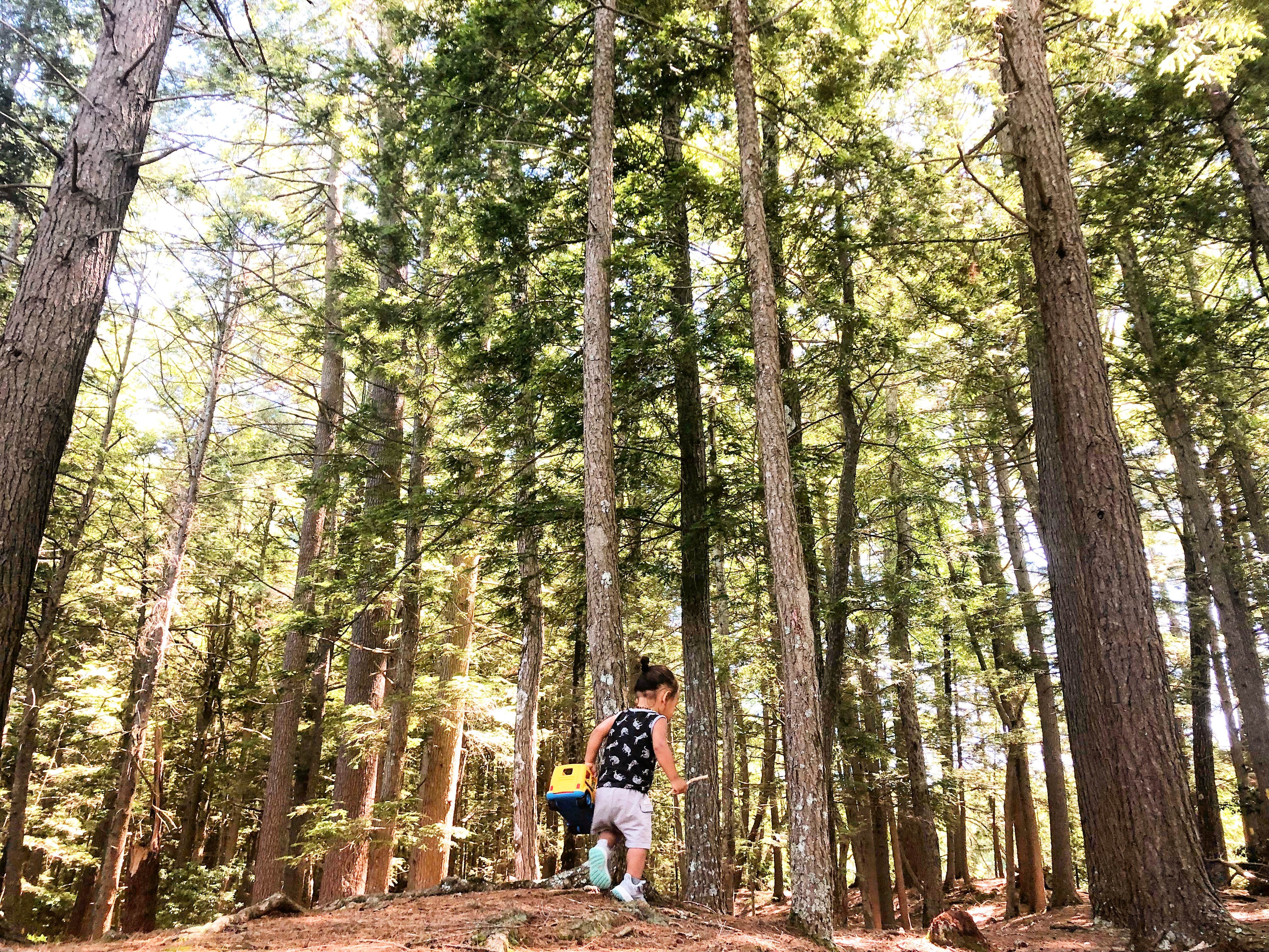 Nature