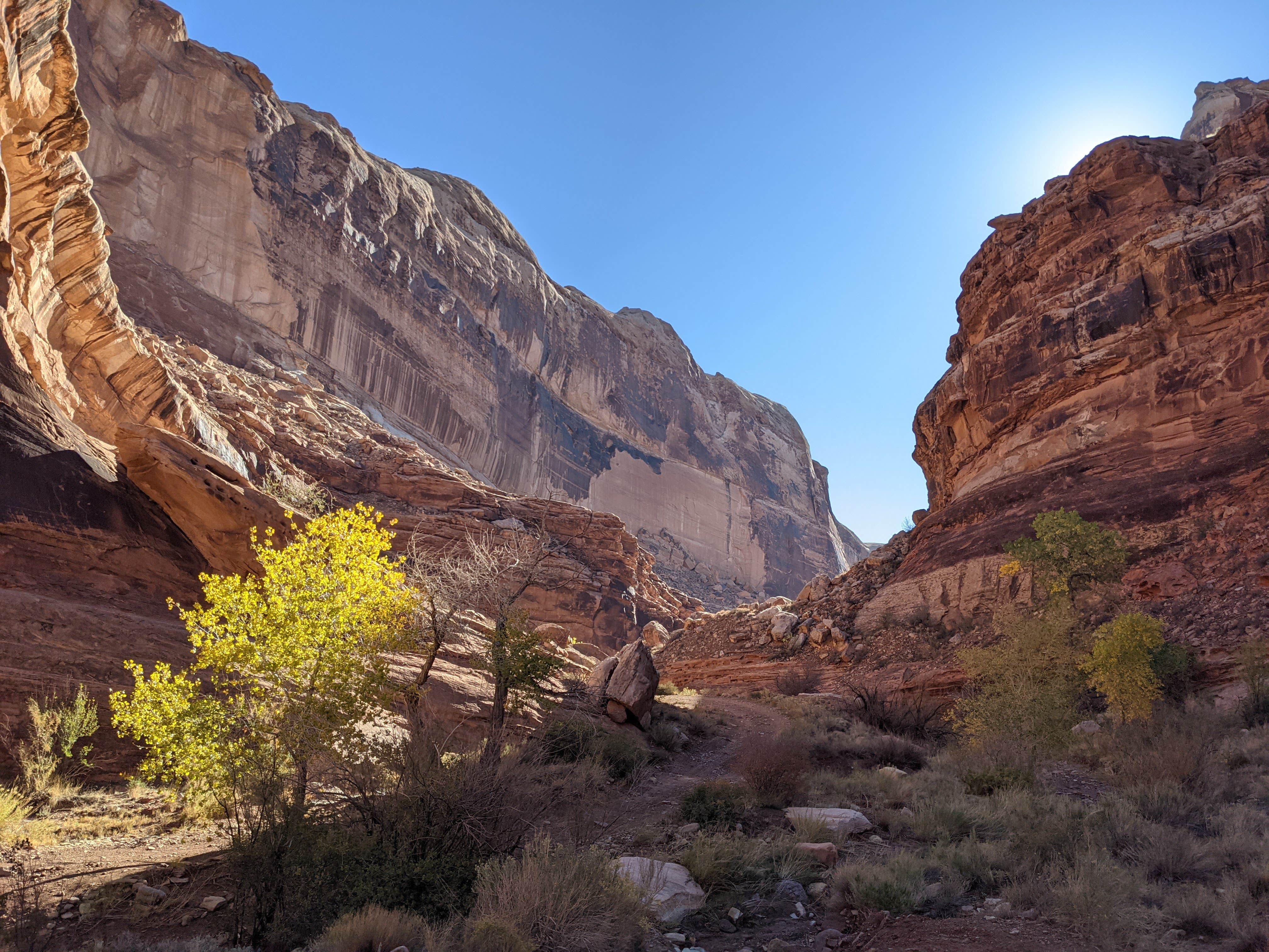 Camper-submitted photo at Black Dragon Pictograph Panel Dispersed near Hanksville, UT