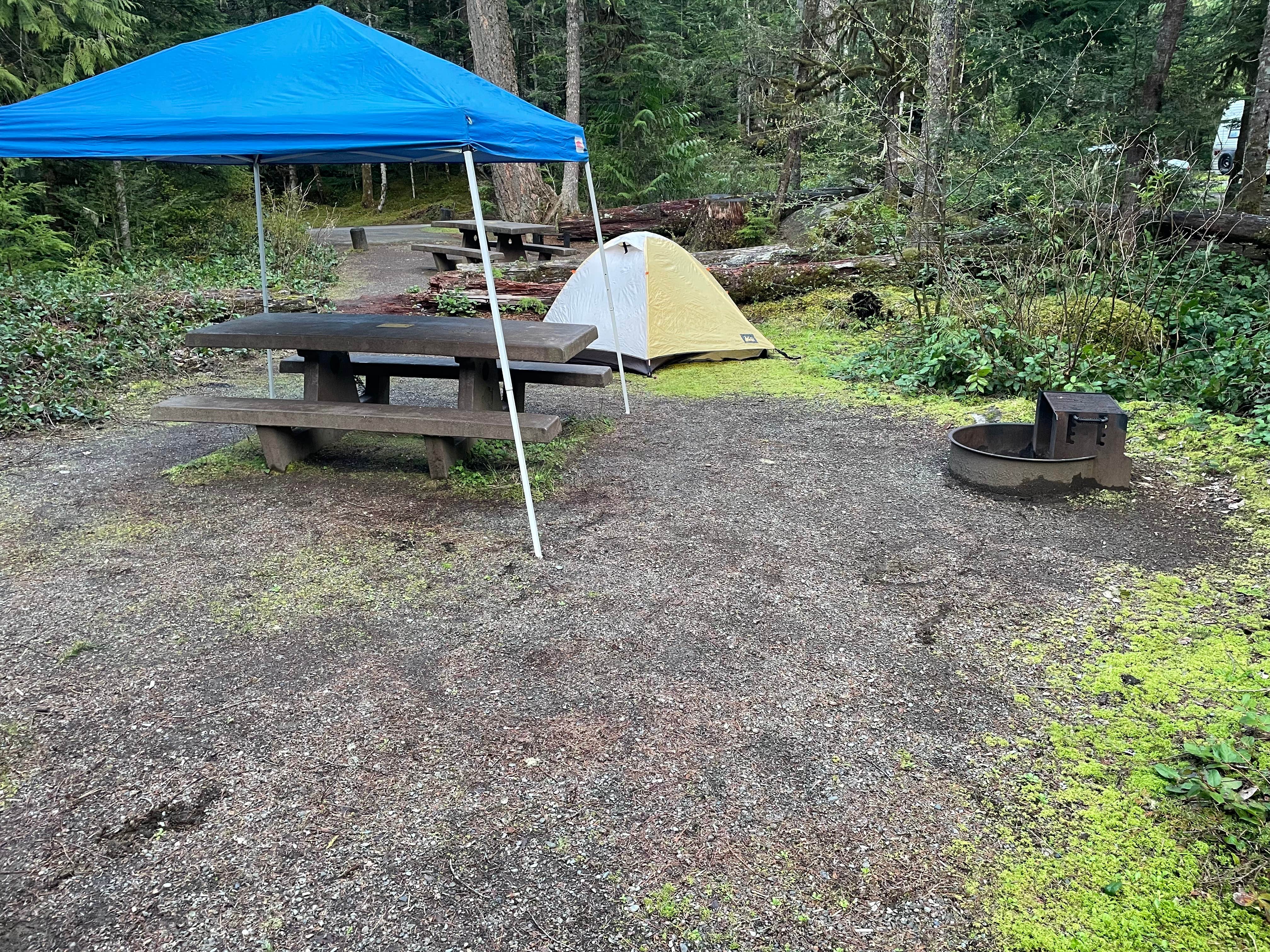Dave L.'s photo at Heart O' the Hills Campground — Olympic National Park near Port Angeles, WA