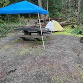 Review photo of Heart O' the Hills Campground — Olympic National Park by Dave L., May 20, 2022
