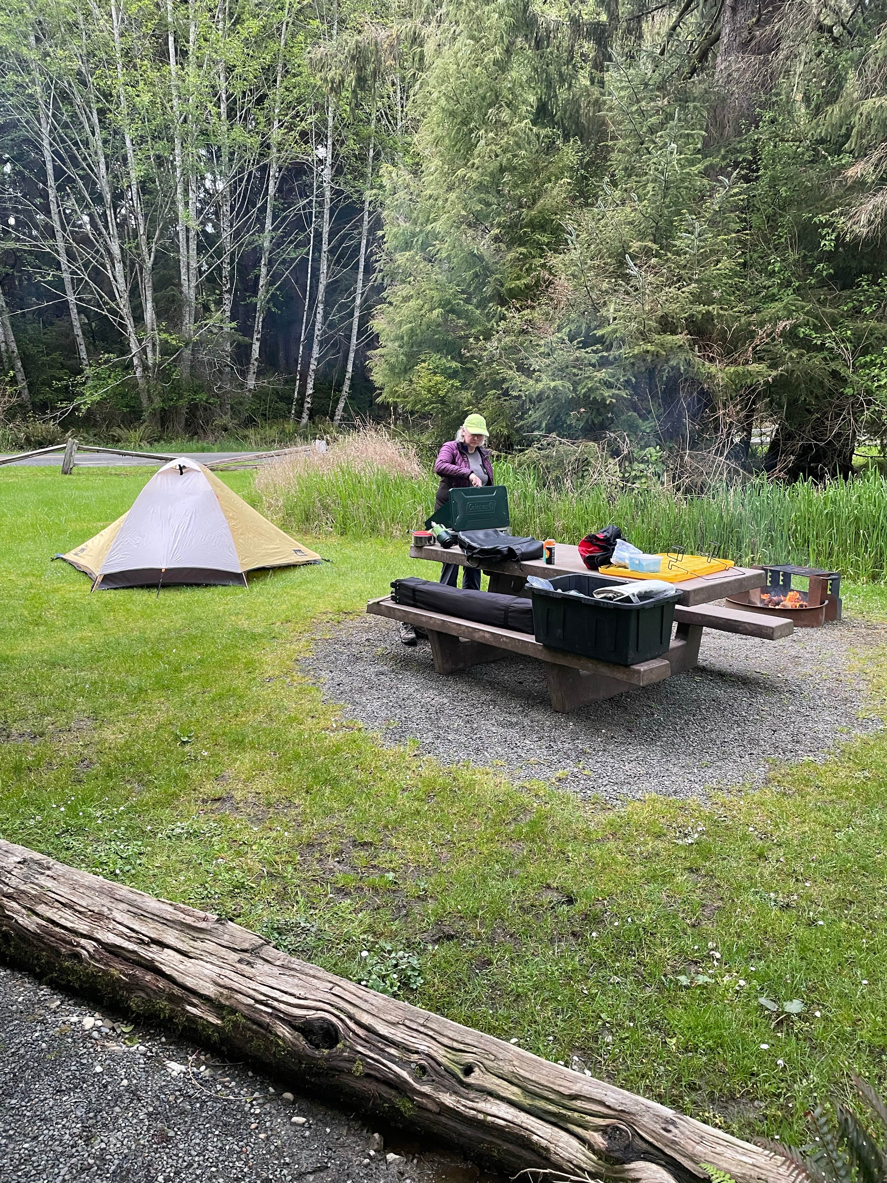 Dave L.'s photo at Ozette Campground — Olympic National Park near Clallam Bay, WA