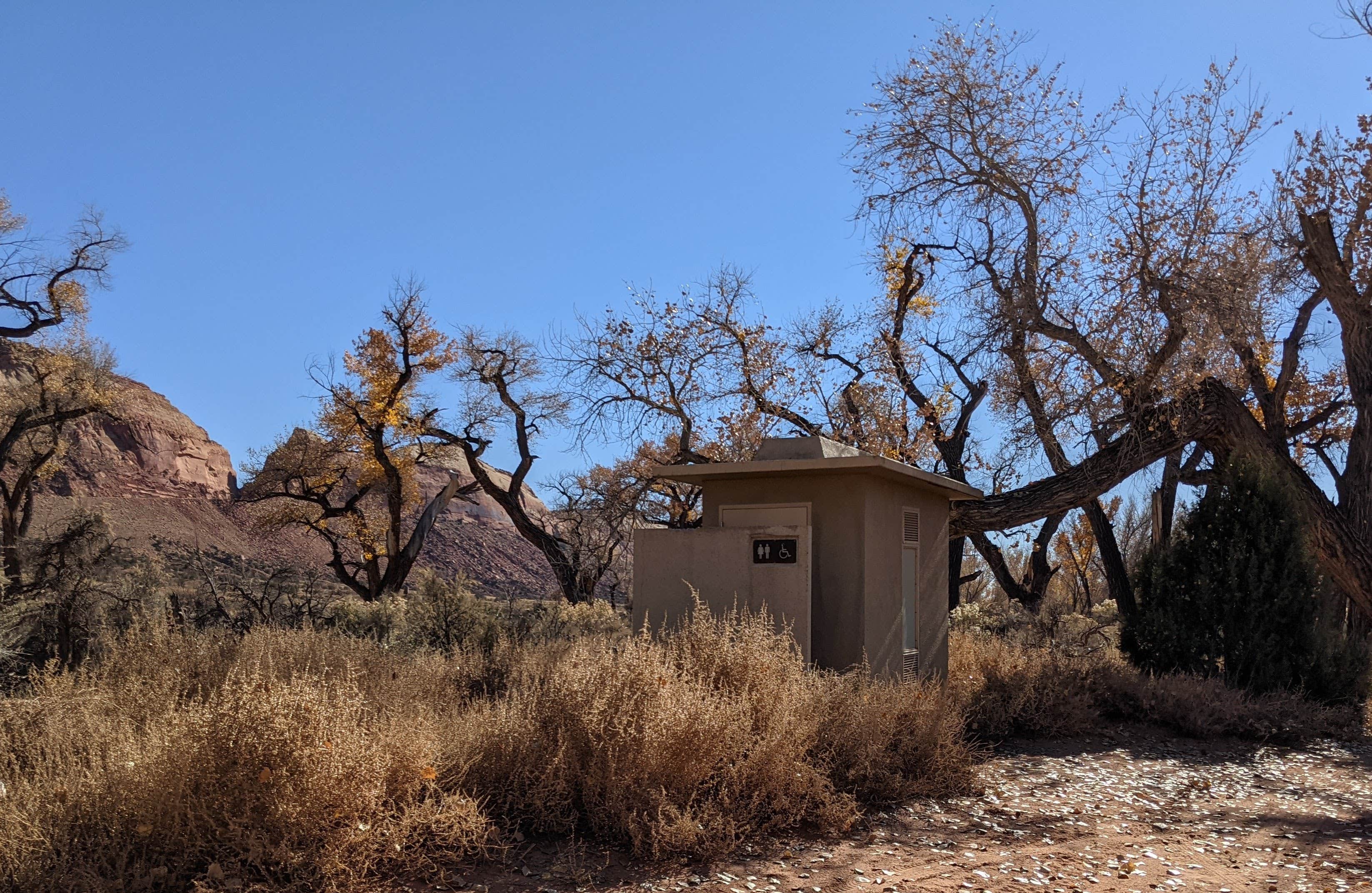 Camper submitted image from Comb Wash Dispersed Camping Area - 2