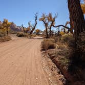 Review photo of Comb Wash Dispersed Camping Area by Laura M., May 20, 2022