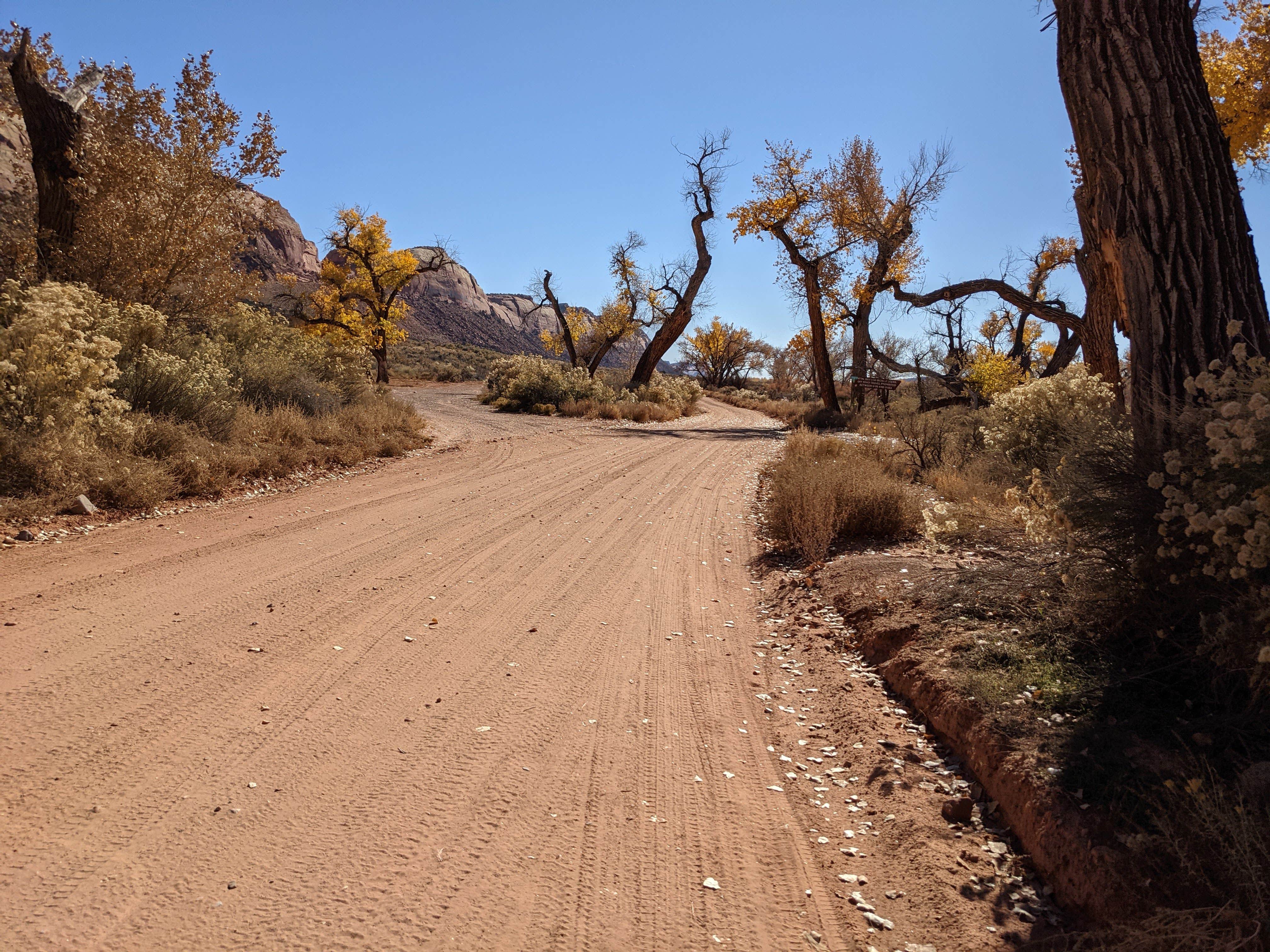 Camper submitted image from Comb Wash Dispersed Camping Area - 3