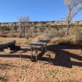 Review photo of Comb Wash Dispersed Camping Area by Laura M., May 20, 2022