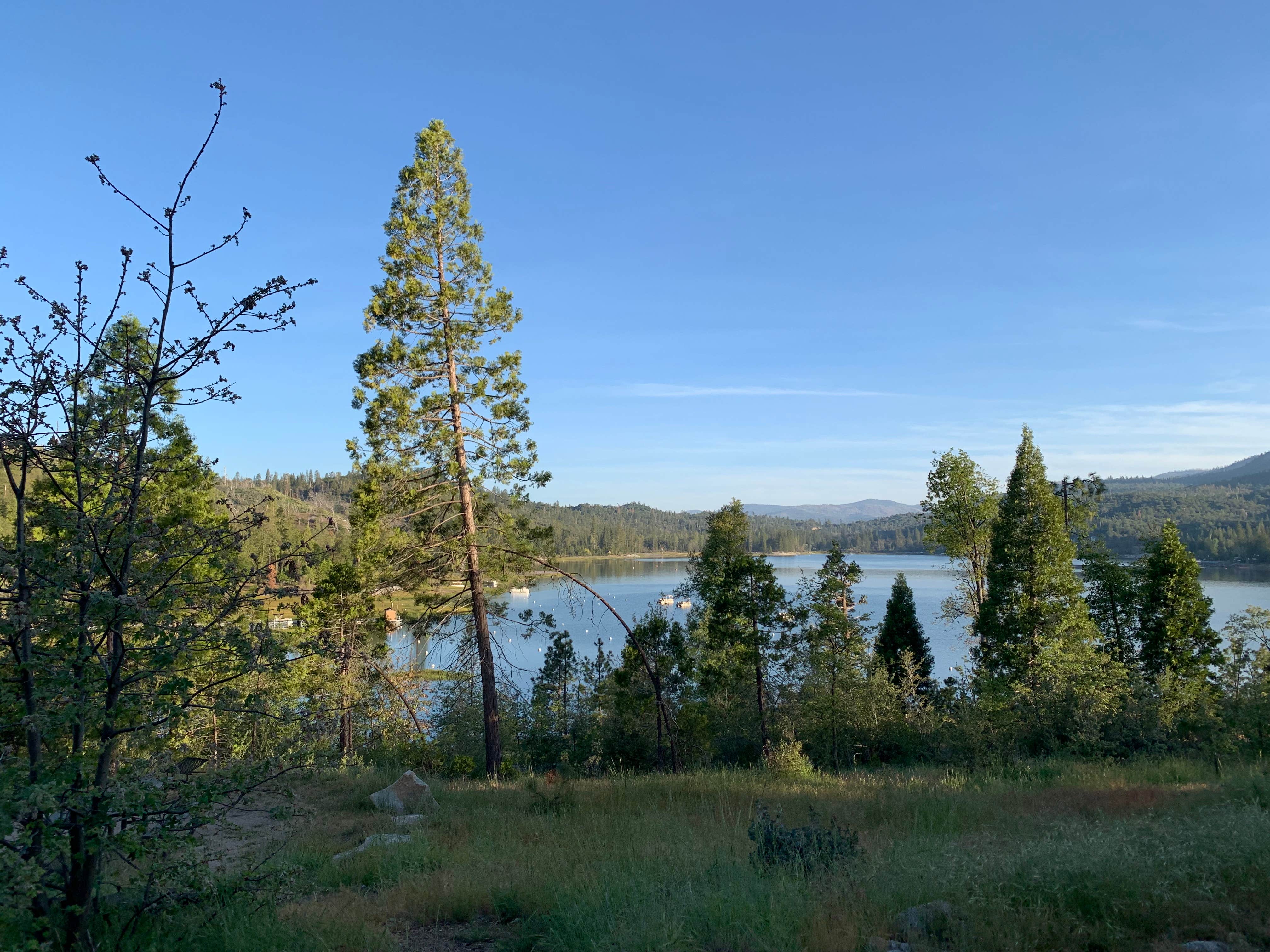 Camper-submitted photo at Sierra National Forest Forks Campground near Bass Lake, CA